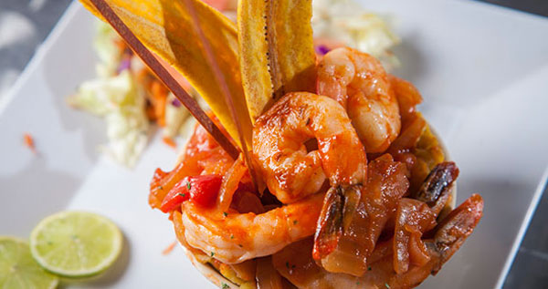 Core.Domain.Models.Image