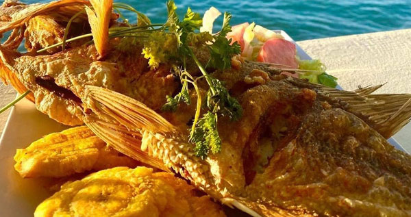 Core.Domain.Models.Image