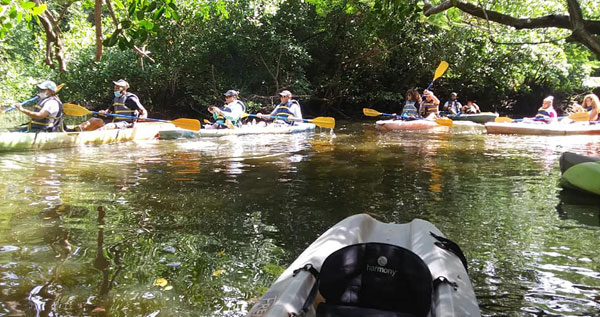 Core.Domain.Models.Image