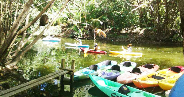 Core.Domain.Models.Image