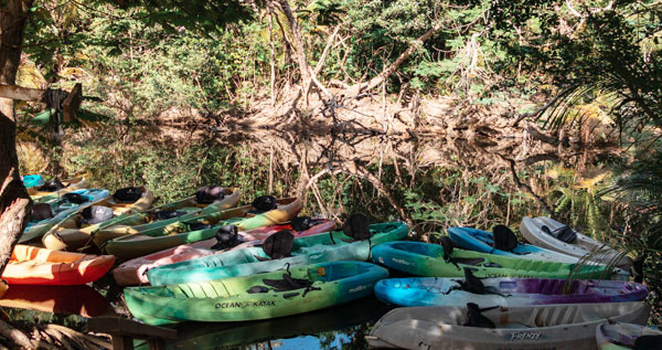 Core.Domain.Models.Image