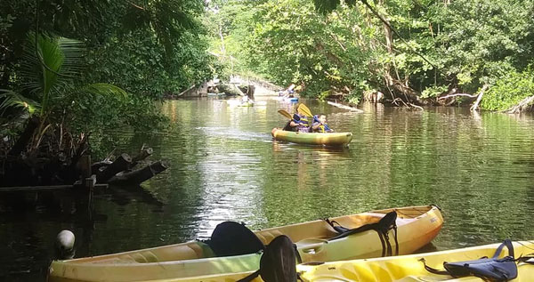 Core.Domain.Models.Image