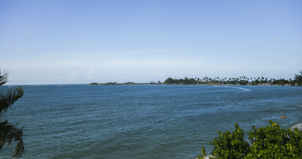 Core.Domain.Models.Image