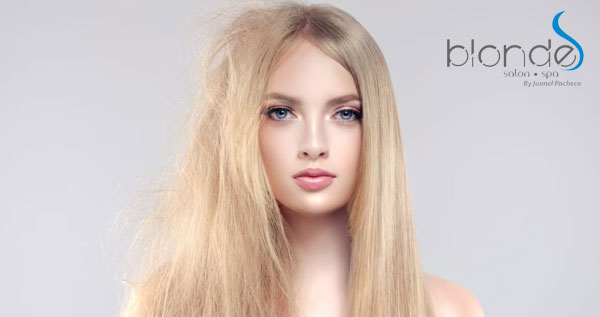 Core.Domain.Models.Image