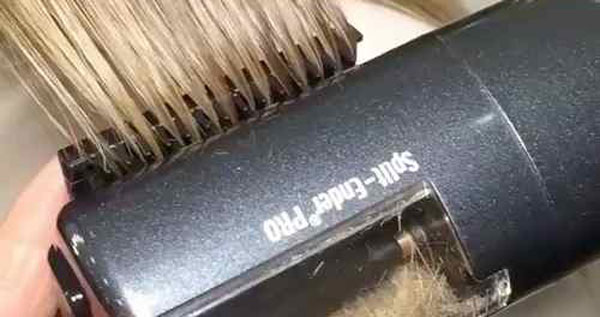 Core.Domain.Models.Image