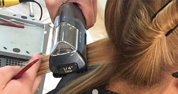 Core.Domain.Models.Image