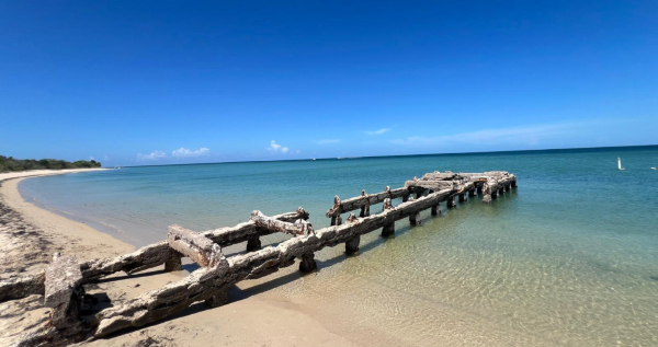 Core.Domain.Models.Image