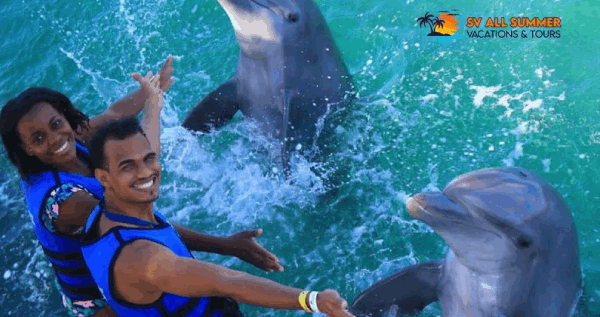 Core.Domain.Models.Image