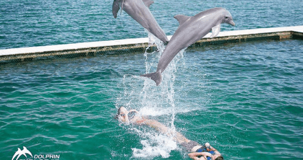 Core.Domain.Models.Image