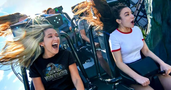 Core.Domain.Models.Image