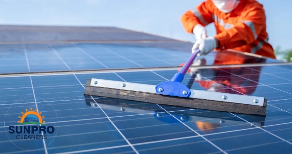 Core.Domain.Models.Image