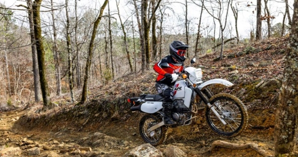 Core.Domain.Models.Image