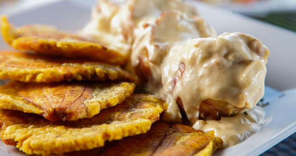 Core.Domain.Models.Image