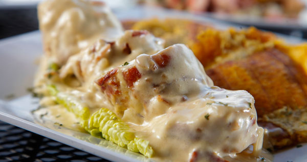 Core.Domain.Models.Image