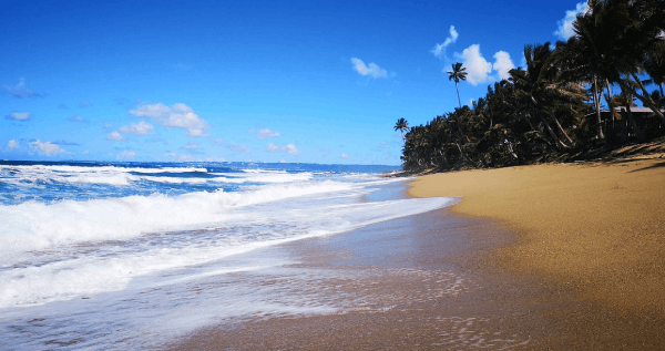 Core.Domain.Models.Image