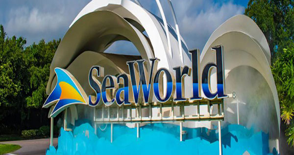 Core.Domain.Models.Image