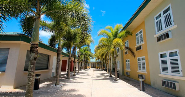 Core.Domain.Models.Image