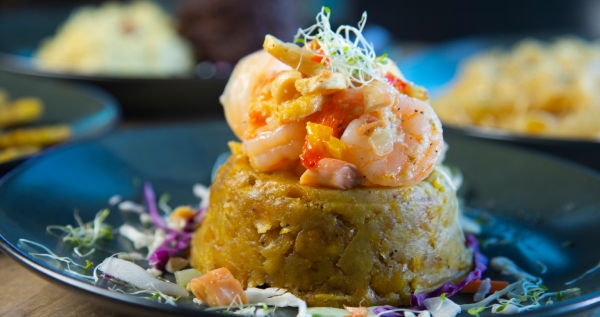 Core.Domain.Models.Image