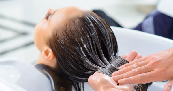 Core.Domain.Models.Image