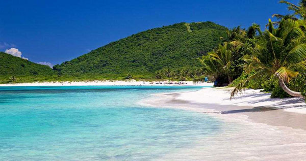 Core.Domain.Models.Image