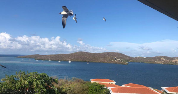 Core.Domain.Models.Image