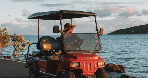 Core.Domain.Models.Image