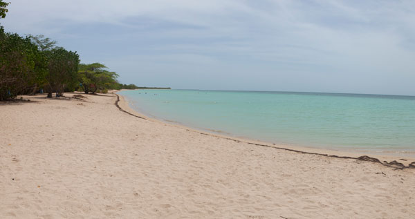 Core.Domain.Models.Image