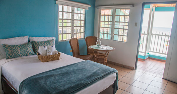 Core.Domain.Models.Image