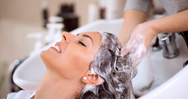 Blower Plancha Hot Sale, UP TO 66% OFF | sistedes.es