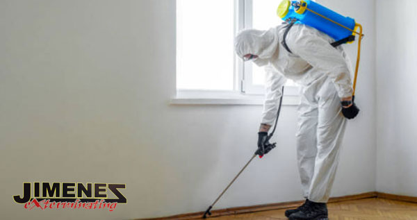 Core.Domain.Models.Image