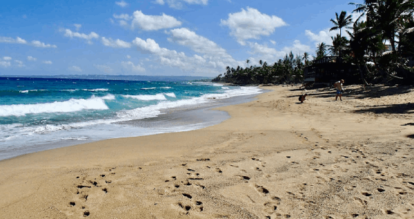 Core.Domain.Models.Image