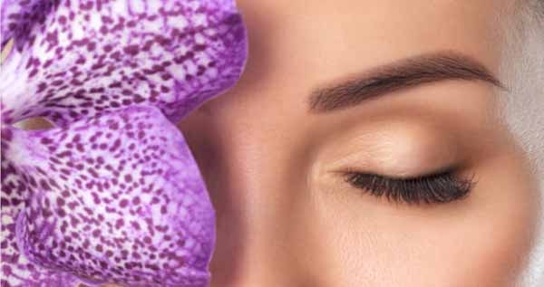 Core.Domain.Models.Image