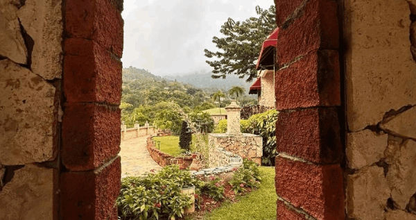 Core.Domain.Models.Image