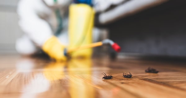 Core.Domain.Models.Image