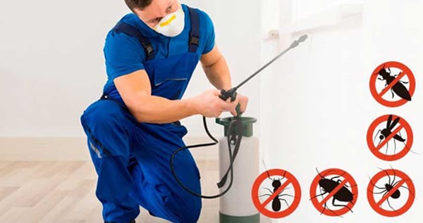 Core.Domain.Models.Image