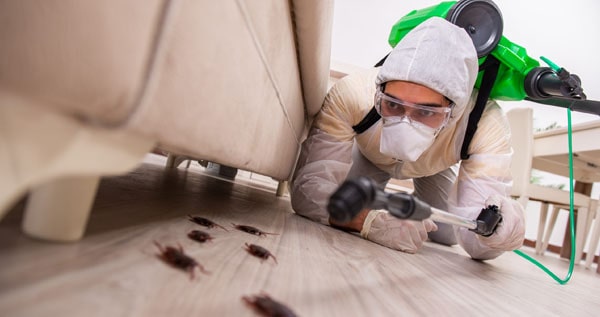 Core.Domain.Models.Image