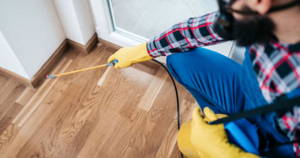 Core.Domain.Models.Image