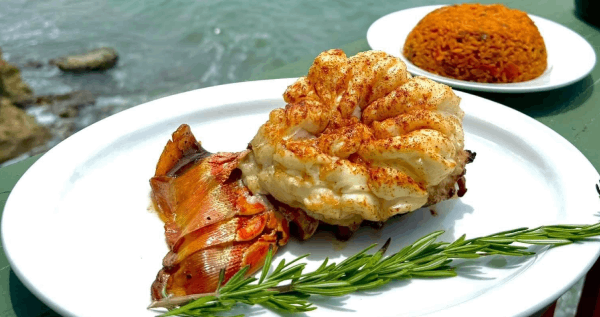 Core.Domain.Models.Image