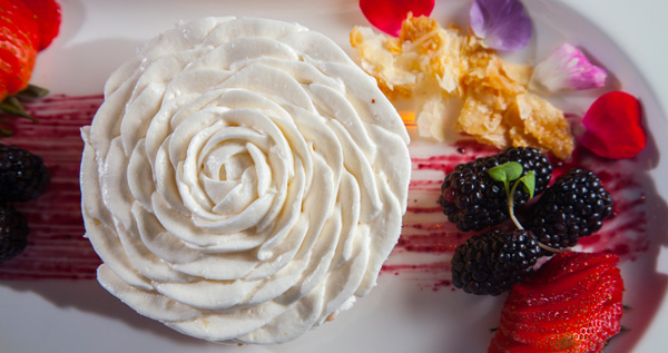 Core.Domain.Models.Image