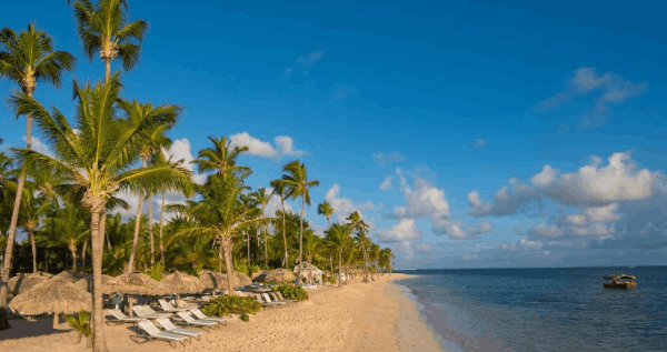 Core.Domain.Models.Image