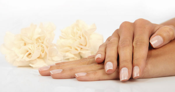 Core.Domain.Models.Image