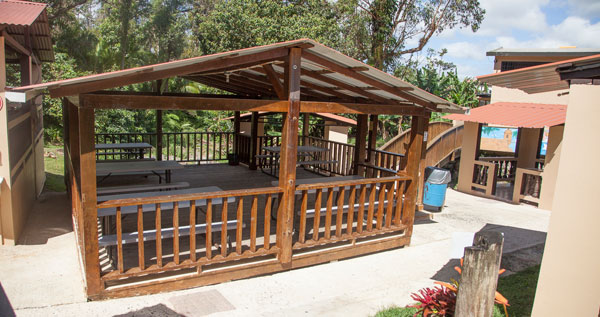 Core.Domain.Models.Image