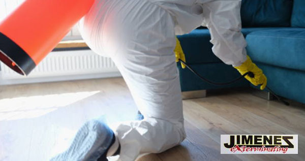 Core.Domain.Models.Image