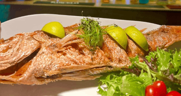 Core.Domain.Models.Image