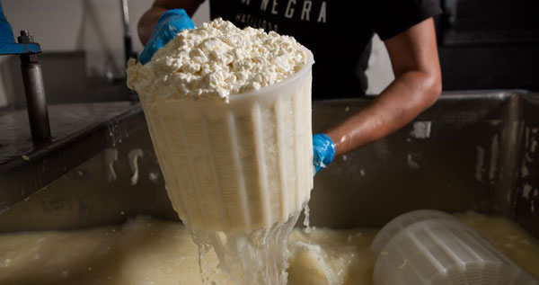 Core.Domain.Models.Image