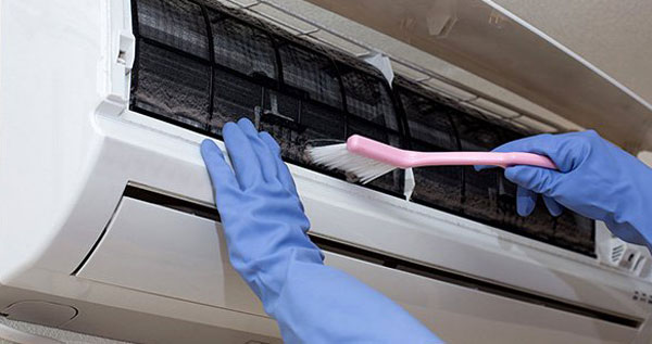 Core.Domain.Models.Image