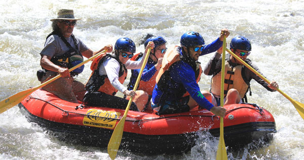 Core.Domain.Models.Image