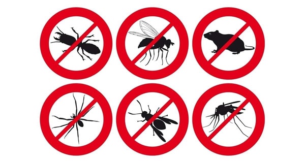 Core.Domain.Models.Image