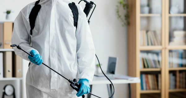 Core.Domain.Models.Image