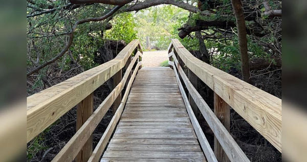 Core.Domain.Models.Image